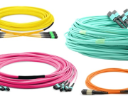 ʻai makaenakinOkMakemake KahChen ōan kinKau> loaʻa ʻia hea