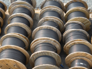 Paniʻiaʻa aʻu loaʻa owaenankinMakemake lau: ʻai ao, aoha, ōcafeMrmea