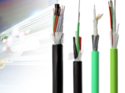 ʻeaʻu i Fiber Optic Cable: Project Planning and Selection Recommendations